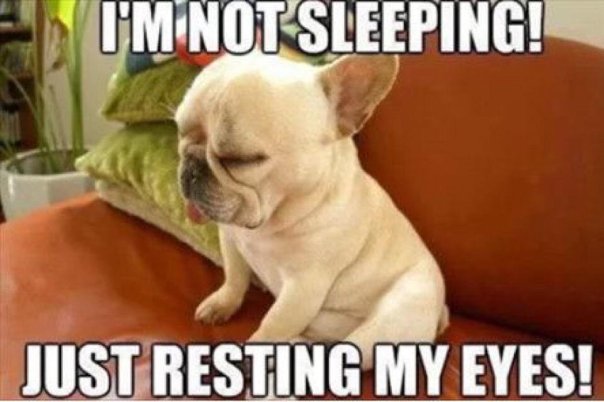 I-Am-Not-Sleeping-Just-Resting-My-Eyes-Funny-Meme-Image1