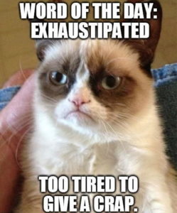 8a652969a7dee7ae298d9160c45d3386-exhausted-quotes-funny-tired-funny-min-249x300